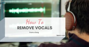 vocal remover online